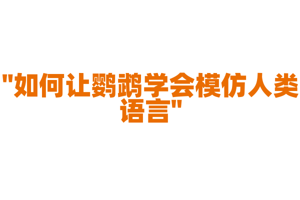 "如何让鹦鹉学会模仿人类语言"